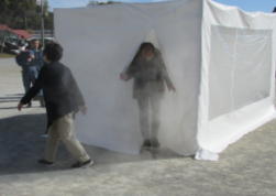 �P���̗l�q�P