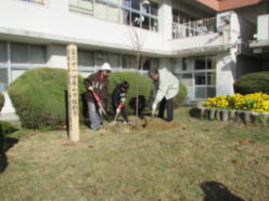 �A���Ղ̗l�q�P